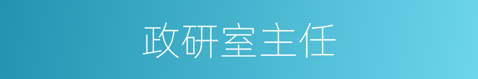 政研室主任的同义词