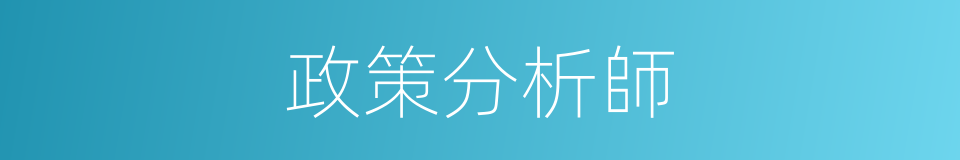 政策分析師的同義詞