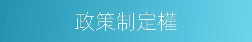 政策制定權的同義詞