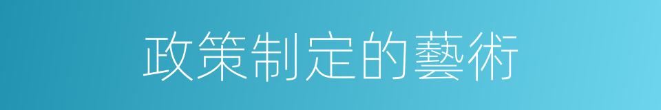 政策制定的藝術的同義詞