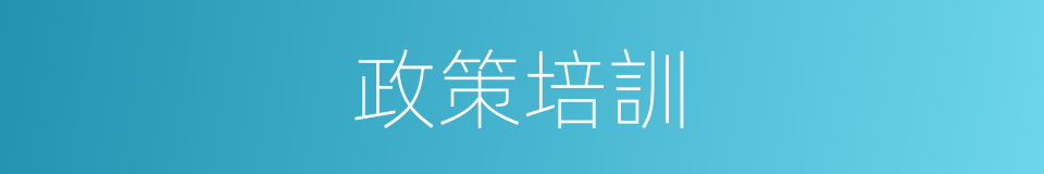 政策培訓的同義詞