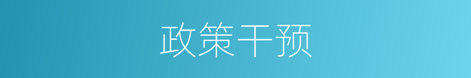 政策干预的同义词