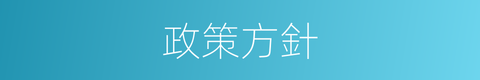 政策方針的同義詞