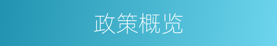 政策概览的同义词