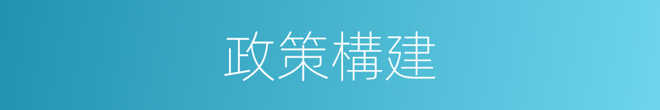 政策構建的同義詞
