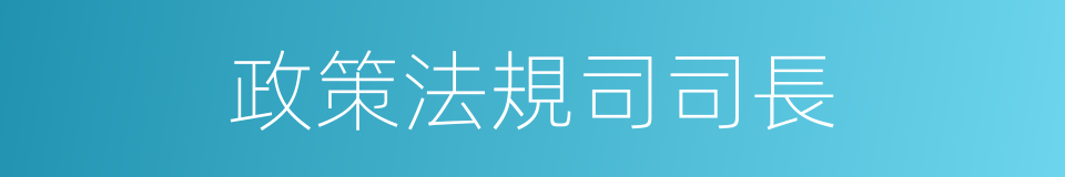 政策法規司司長的同義詞