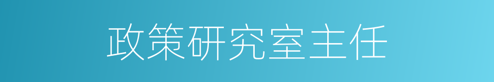 政策研究室主任的同义词