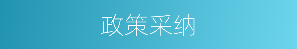 政策采纳的同义词