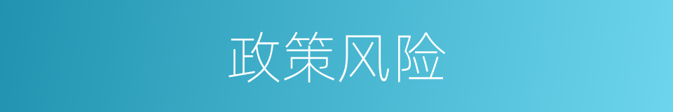 政策风险的同义词
