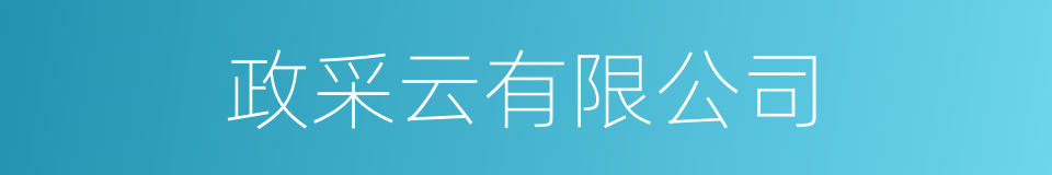 政采云有限公司的同义词