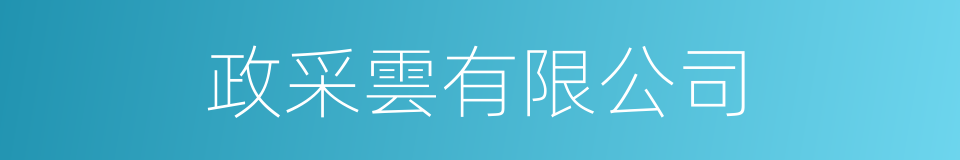 政采雲有限公司的同義詞