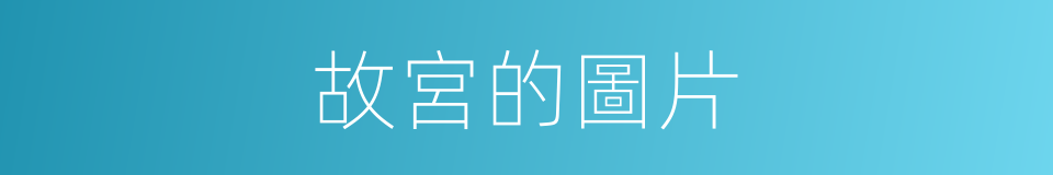 故宮的圖片的同義詞