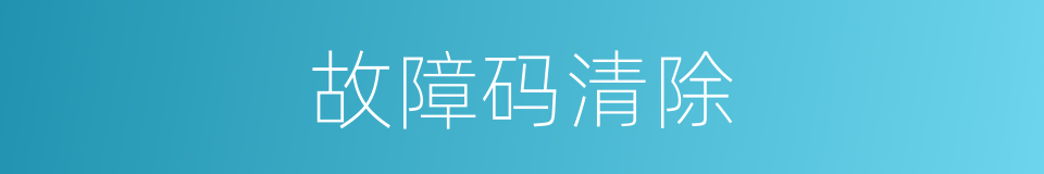 故障码清除的同义词