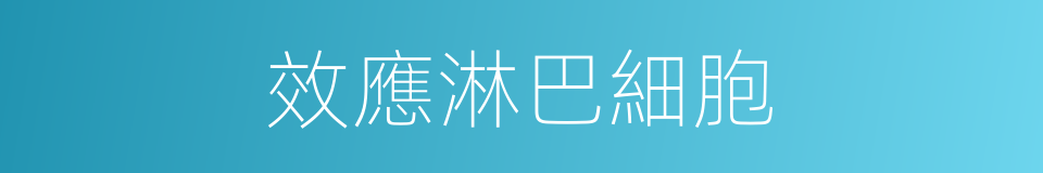 效應淋巴細胞的同義詞