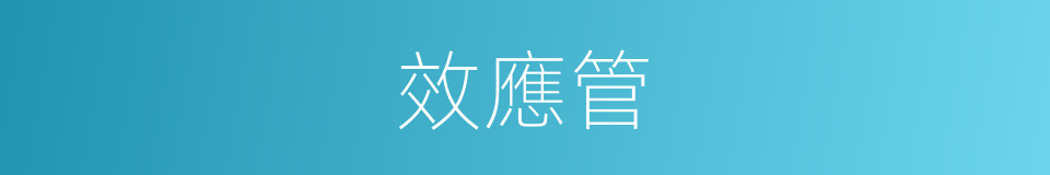 效應管的同義詞