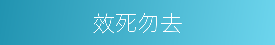 效死勿去的同义词