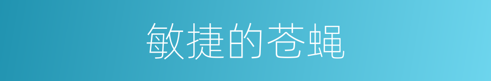 敏捷的苍蝇的同义词