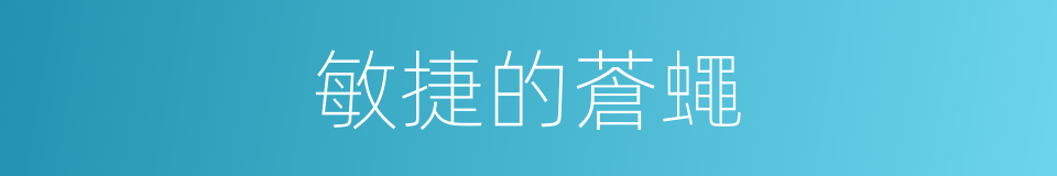敏捷的蒼蠅的同義詞
