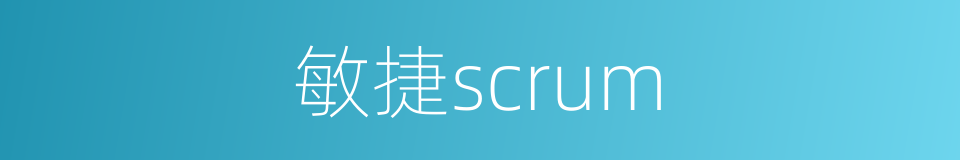 敏捷scrum的同义词