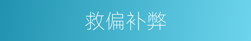救偏补弊的意思