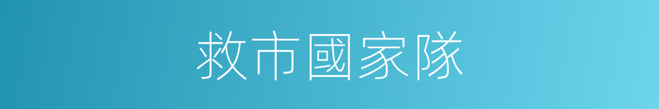 救市國家隊的同義詞