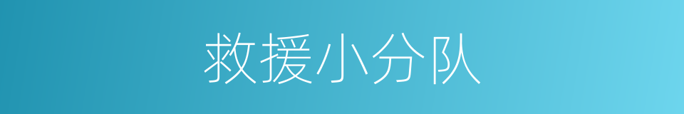 救援小分队的同义词