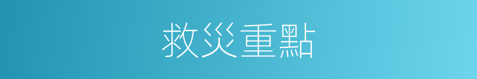 救災重點的同義詞