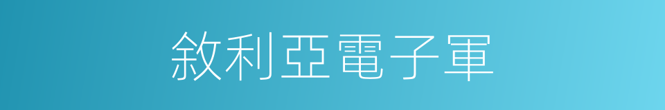 敘利亞電子軍的同義詞