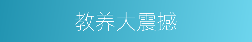 教养大震撼的意思