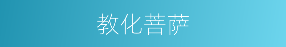 教化菩萨的同义词