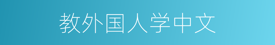 教外国人学中文的同义词