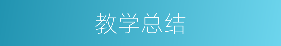 教学总结的同义词