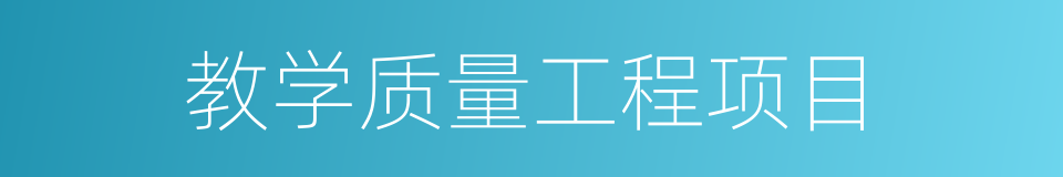 教学质量工程项目的同义词