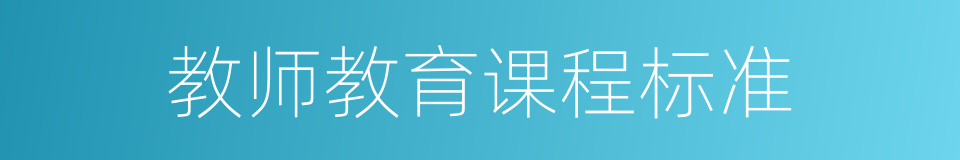 教师教育课程标准的同义词