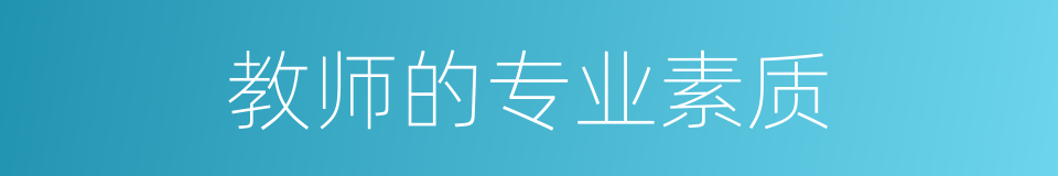 教师的专业素质的同义词