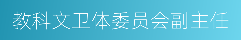 教科文卫体委员会副主任的同义词