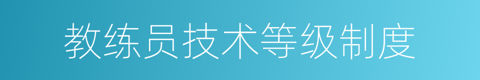 教练员技术等级制度的同义词