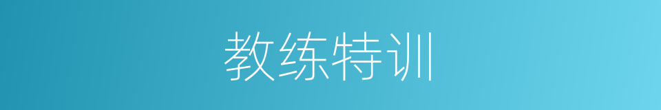 教练特训的同义词