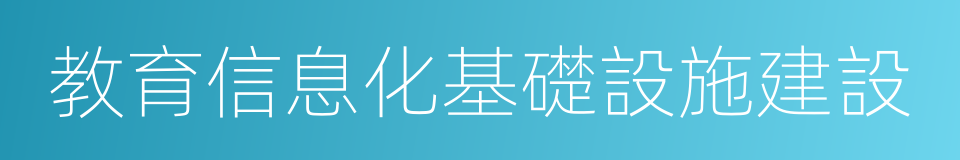 教育信息化基礎設施建設的同義詞