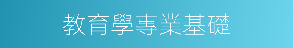 教育學專業基礎的同義詞