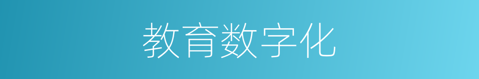 教育数字化的同义词