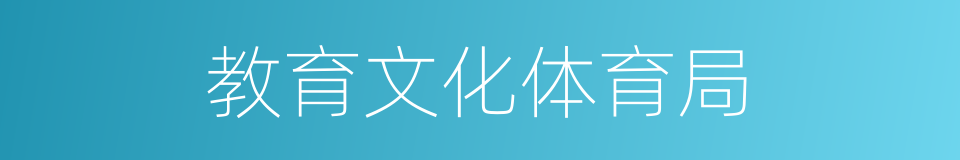 教育文化体育局的同义词