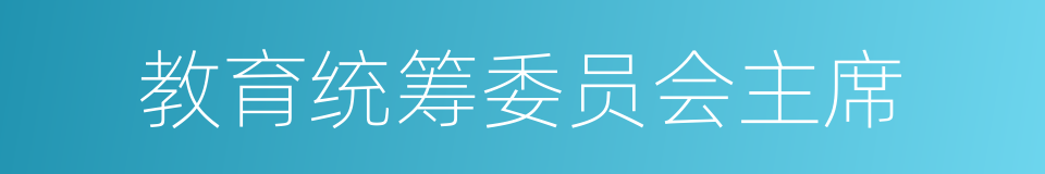 教育统筹委员会主席的同义词