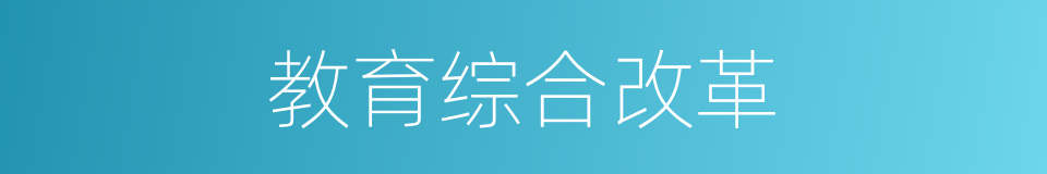 教育综合改革的同义词
