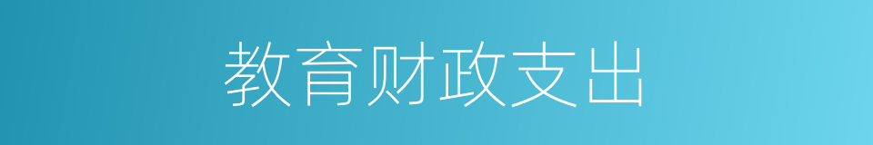 教育财政支出的同义词