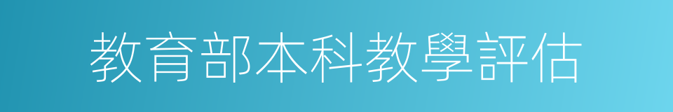 教育部本科教學評估的同義詞