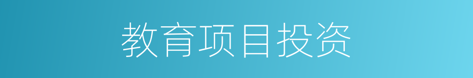 教育项目投资的同义词