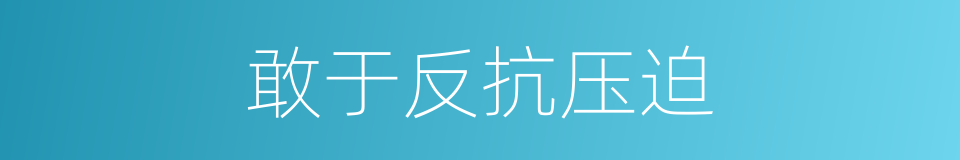 敢于反抗压迫的同义词