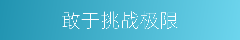 敢于挑战极限的同义词