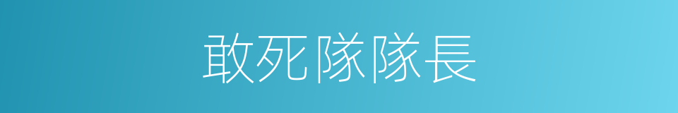 敢死隊隊長的同義詞